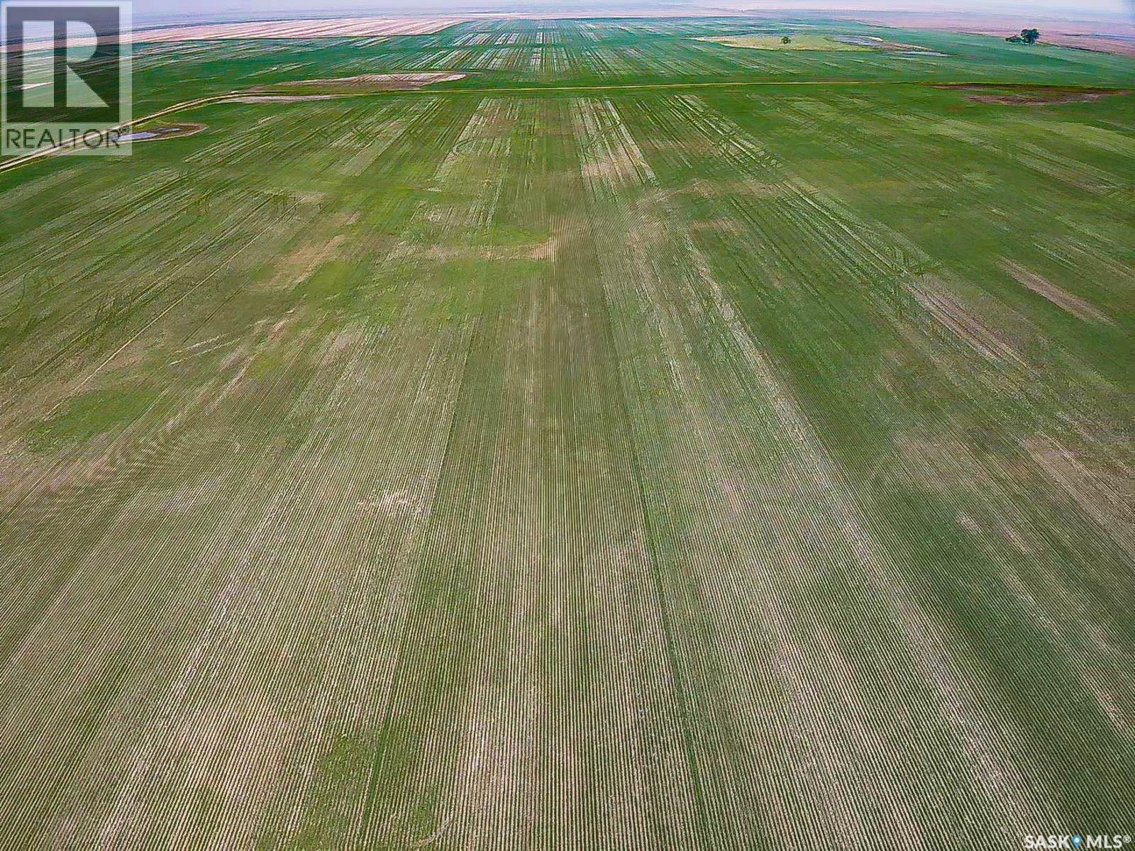 25 Quarter Sections - Rm Souris Valley, Souris Valley Rm No. 7, Saskatchewan  S0C 0E6 - Photo 4 - SK026710