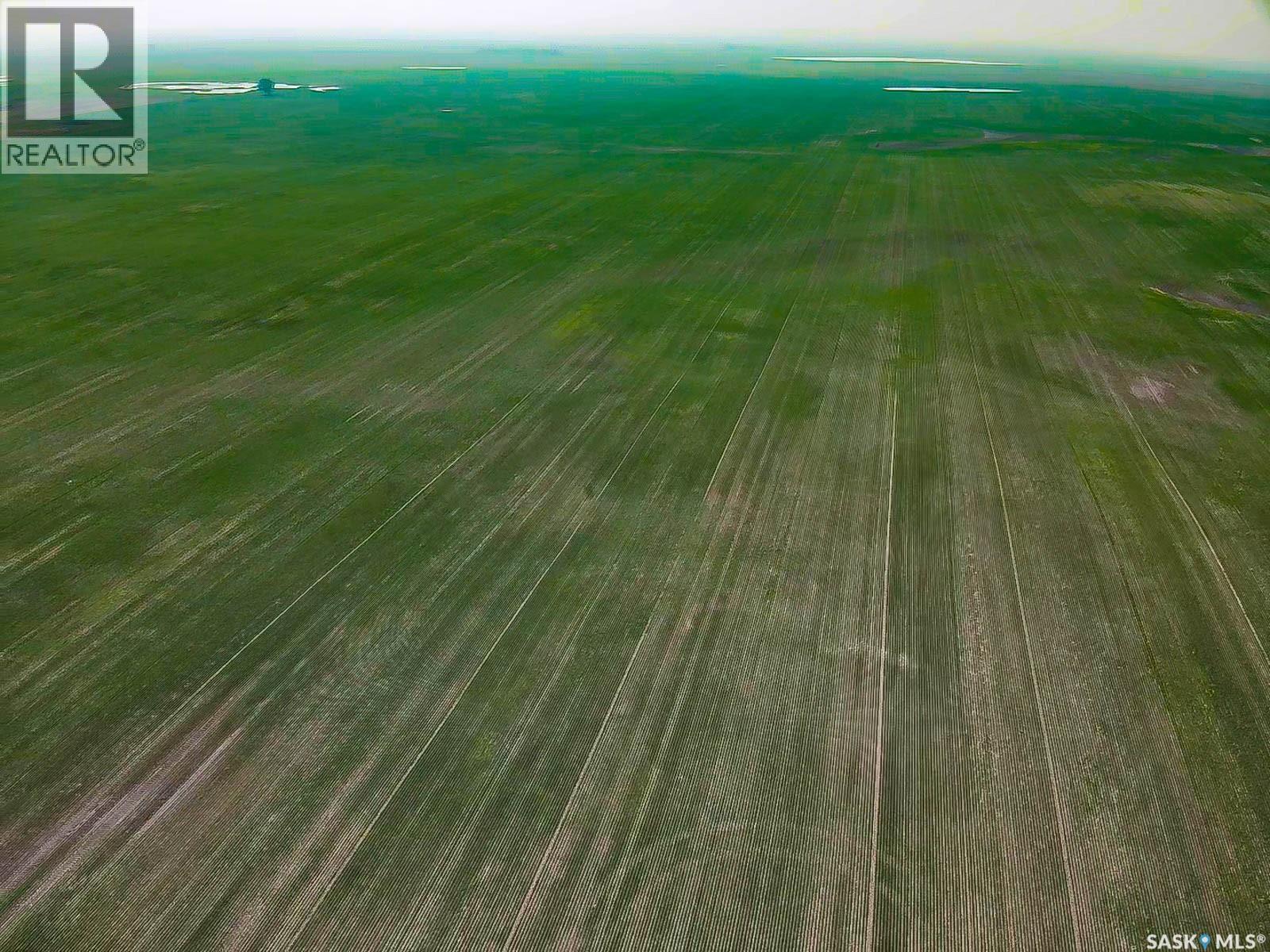 25 Quarter Sections - Rm Souris Valley, Souris Valley Rm No. 7, Saskatchewan  S0C 0E6 - Photo 8 - SK026710