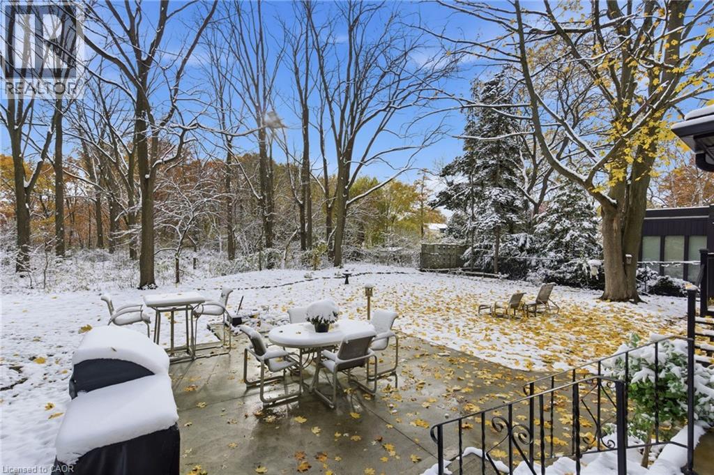 16 Freeland Court, Hamilton, Ontario  L8S 3R5 - Photo 34 - 40787879