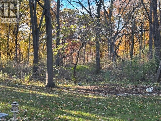 16 Freeland Court, Hamilton, Ontario  L8S 3R5 - Photo 48 - 40787879