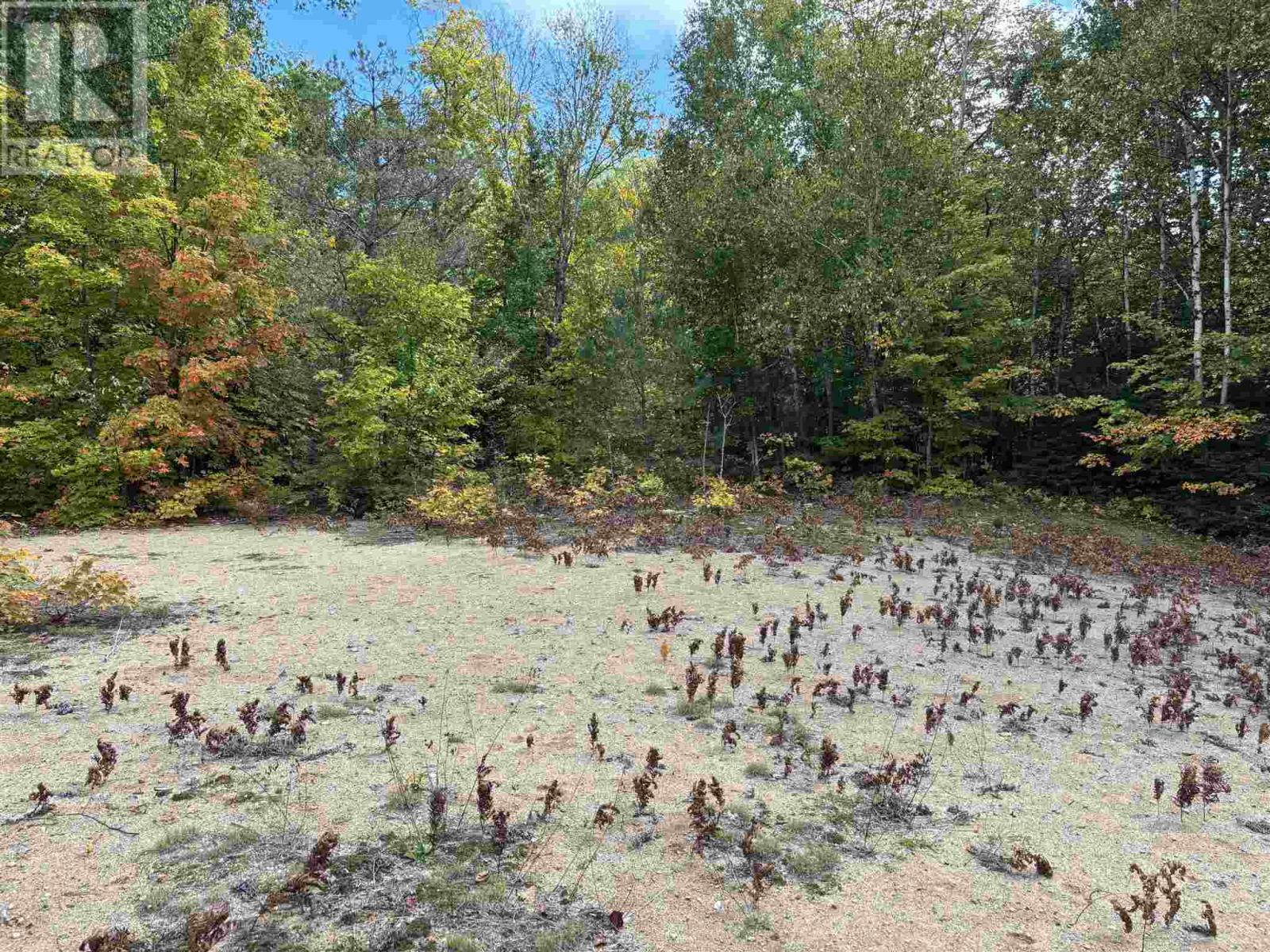 . Pcl 1472 Hilton, St. Joseph Island, Ontario  P0R 1J0 - Photo 7 - SM260102