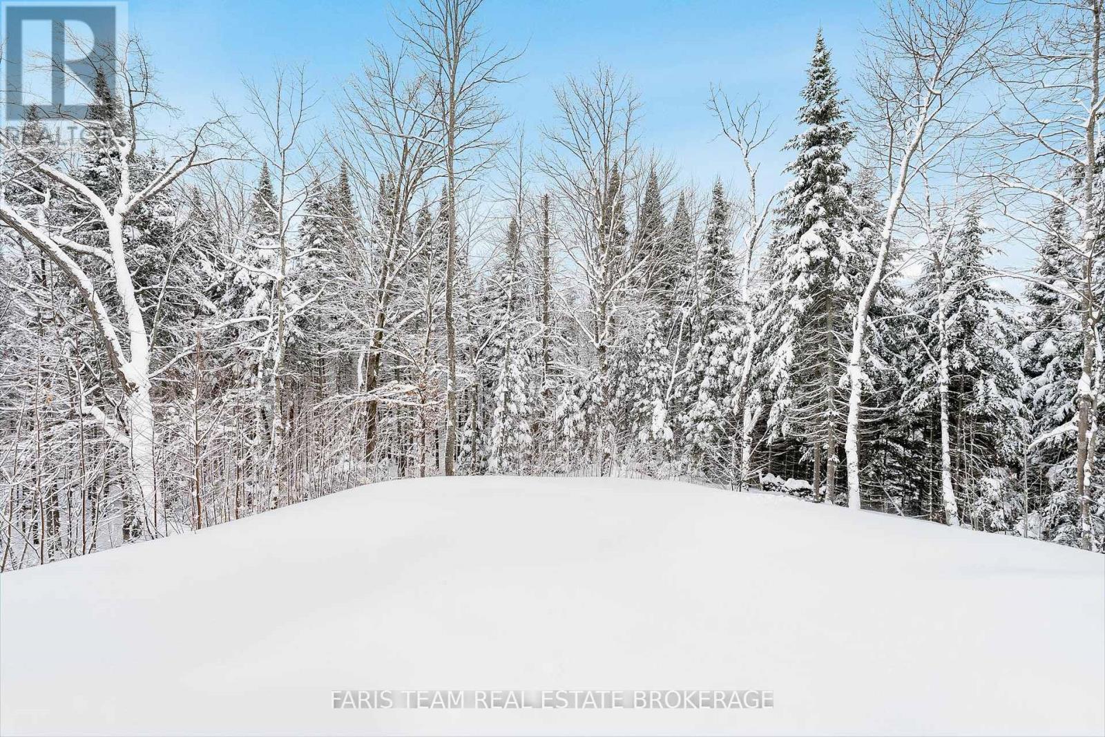 298 Yearley Road, Huntsville, Ontario  P0B 1M0 - Photo 28 - X12698598