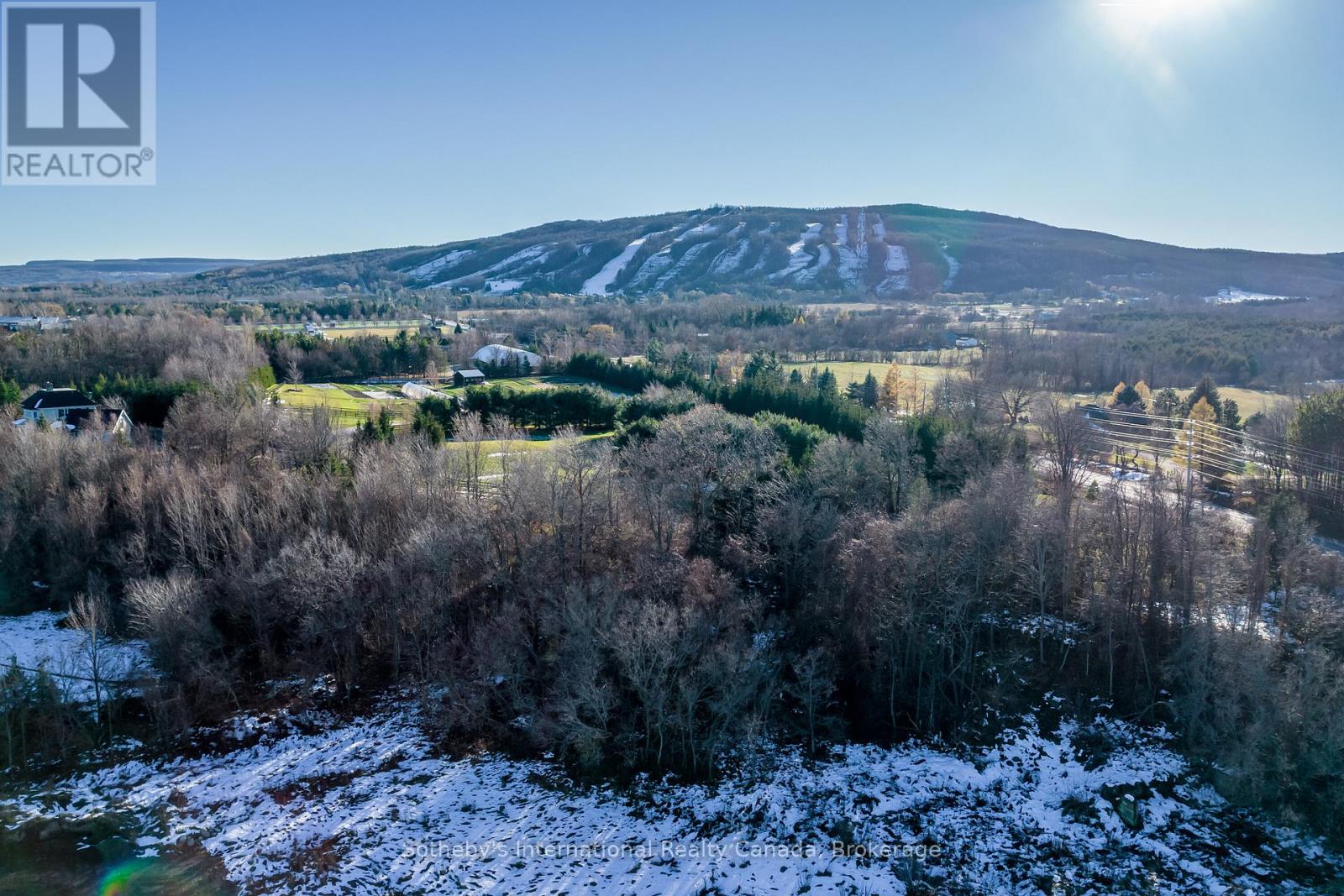 19 Raintree Court, Clearview, Ontario  L9Y 0K2 - Photo 7 - S12698834