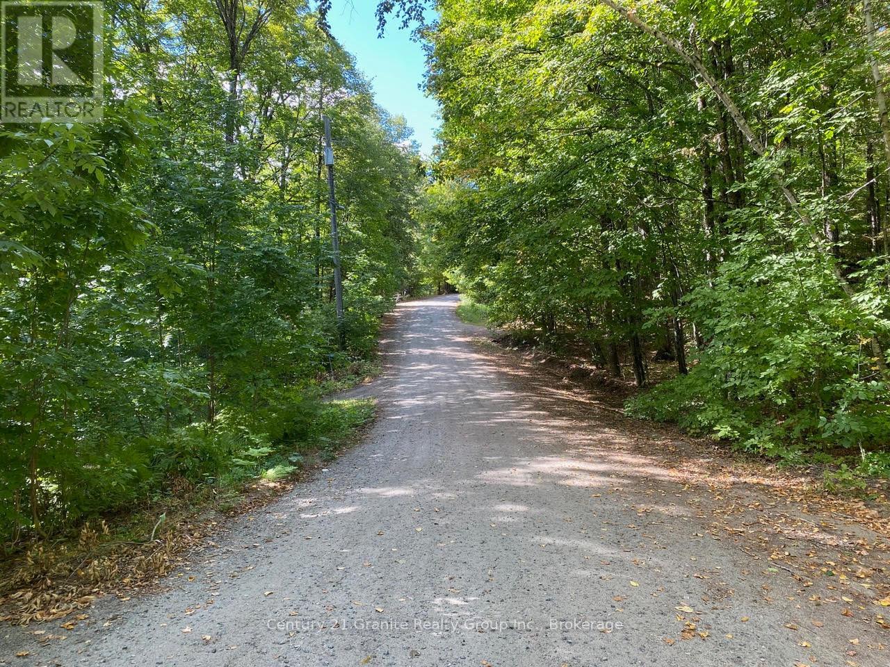 1119 Wampum Road, Dysart Et Al, Ontario  K0M 1S0 - Photo 50 - X12698628