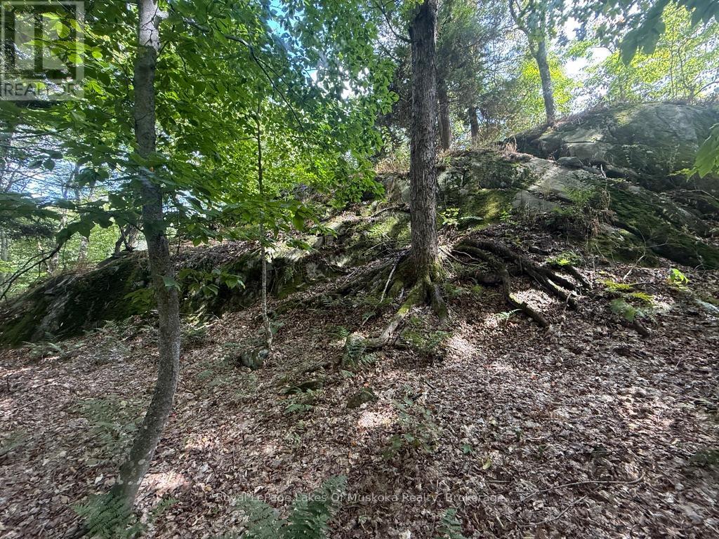 Lot 85 Brennan Circle, Huntsville, Ontario  P1H 2J2 - Photo 11 - X12698818