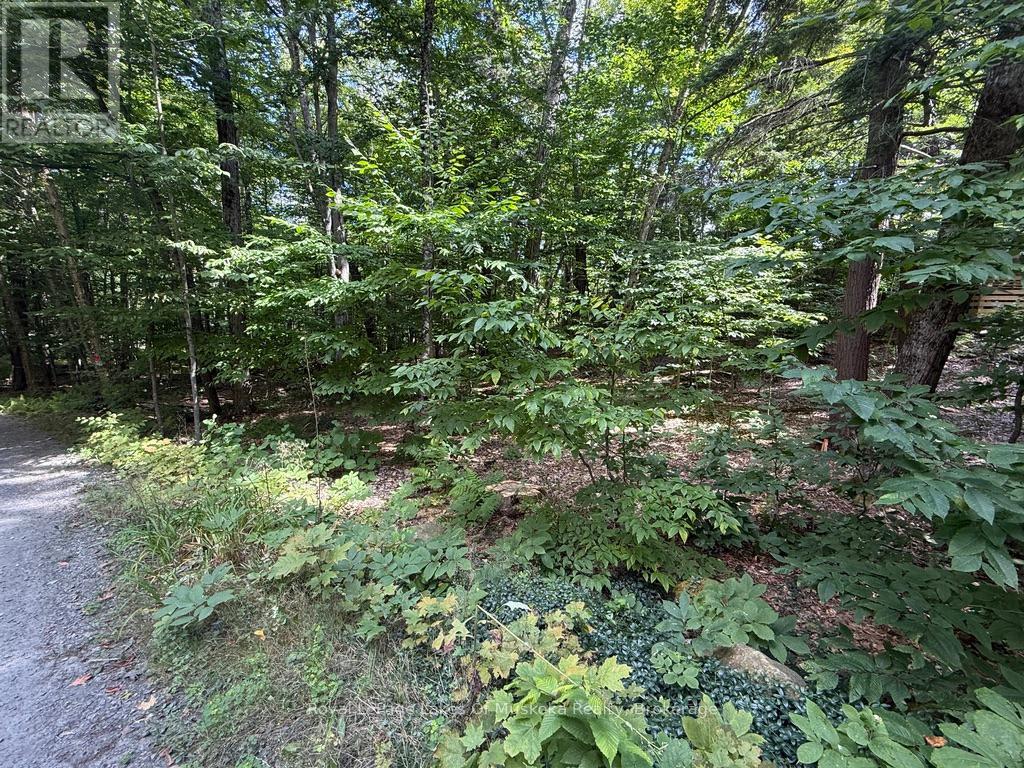 Lot 85 Brennan Circle, Huntsville, Ontario  P1H 2J2 - Photo 2 - X12698818