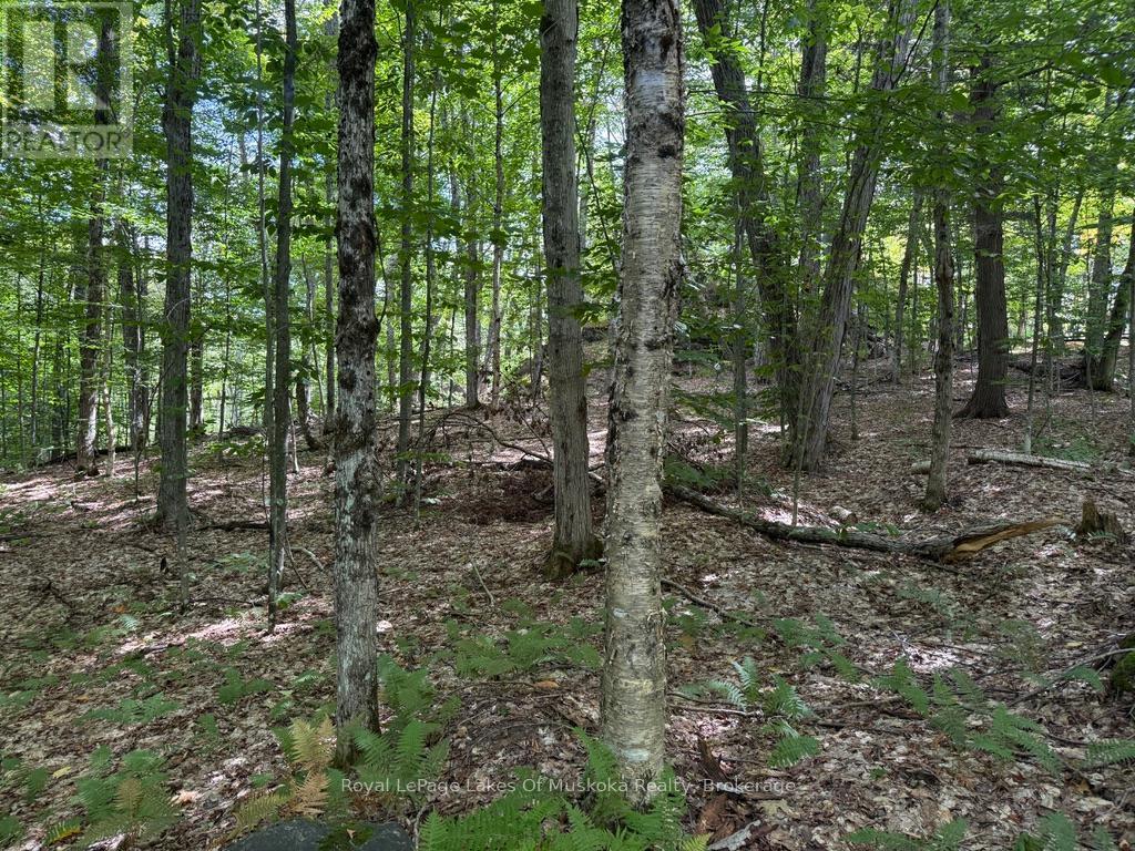 Lot 85 Brennan Circle, Huntsville, Ontario  P1H 2J2 - Photo 4 - X12698818
