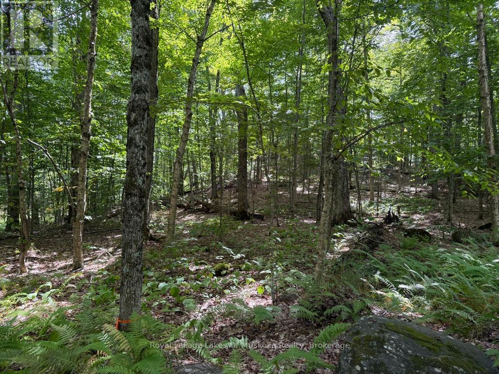 Lot 85 Brennan Circle, Huntsville, Ontario  P1H 2J2 - Photo 5 - X12698818