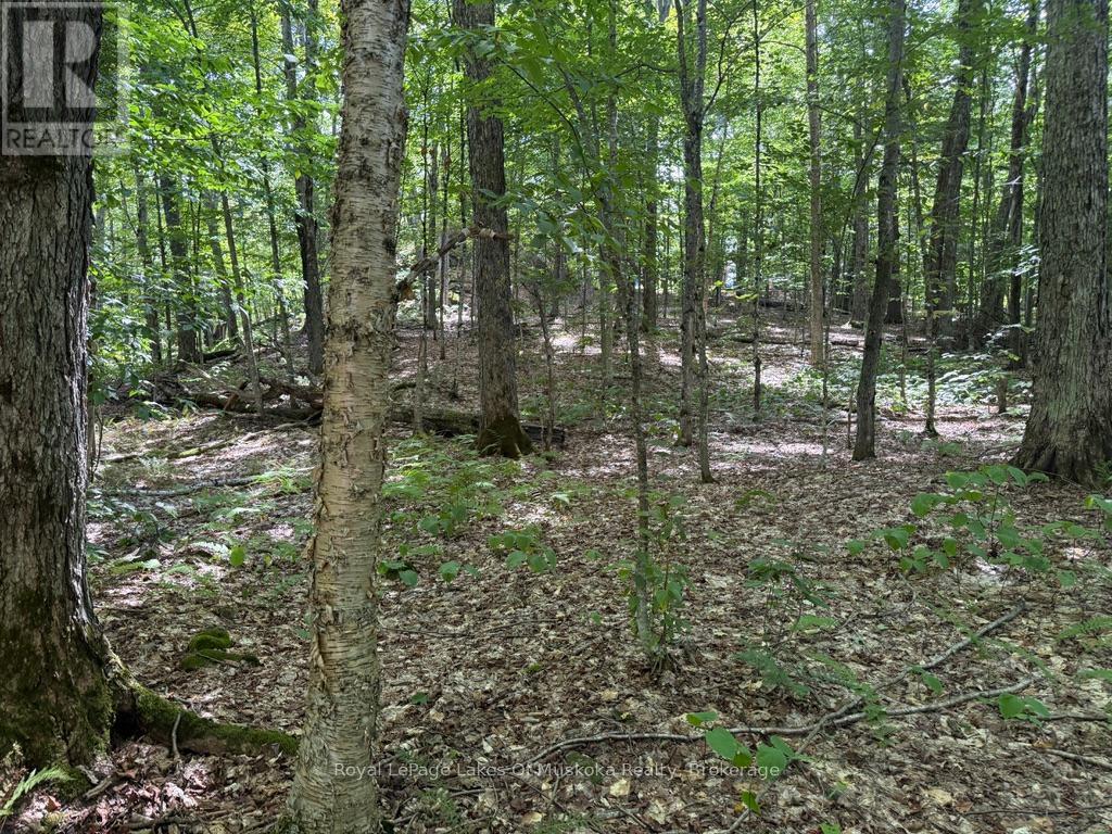 Lot 85 Brennan Circle, Huntsville, Ontario  P1H 2J2 - Photo 6 - X12698818