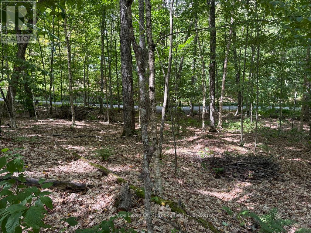 Lot 85 Brennan Circle, Huntsville, Ontario  P1H 2J2 - Photo 9 - X12698818