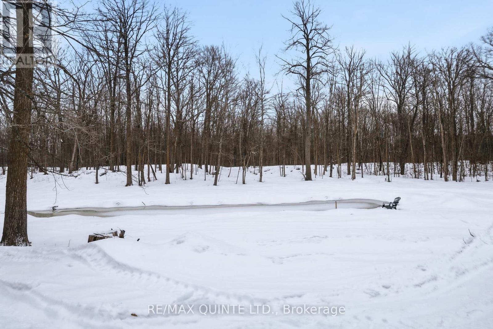 14184 Highway 62, Madoc, Ontario  K0K 2K0 - Photo 28 - X12698760