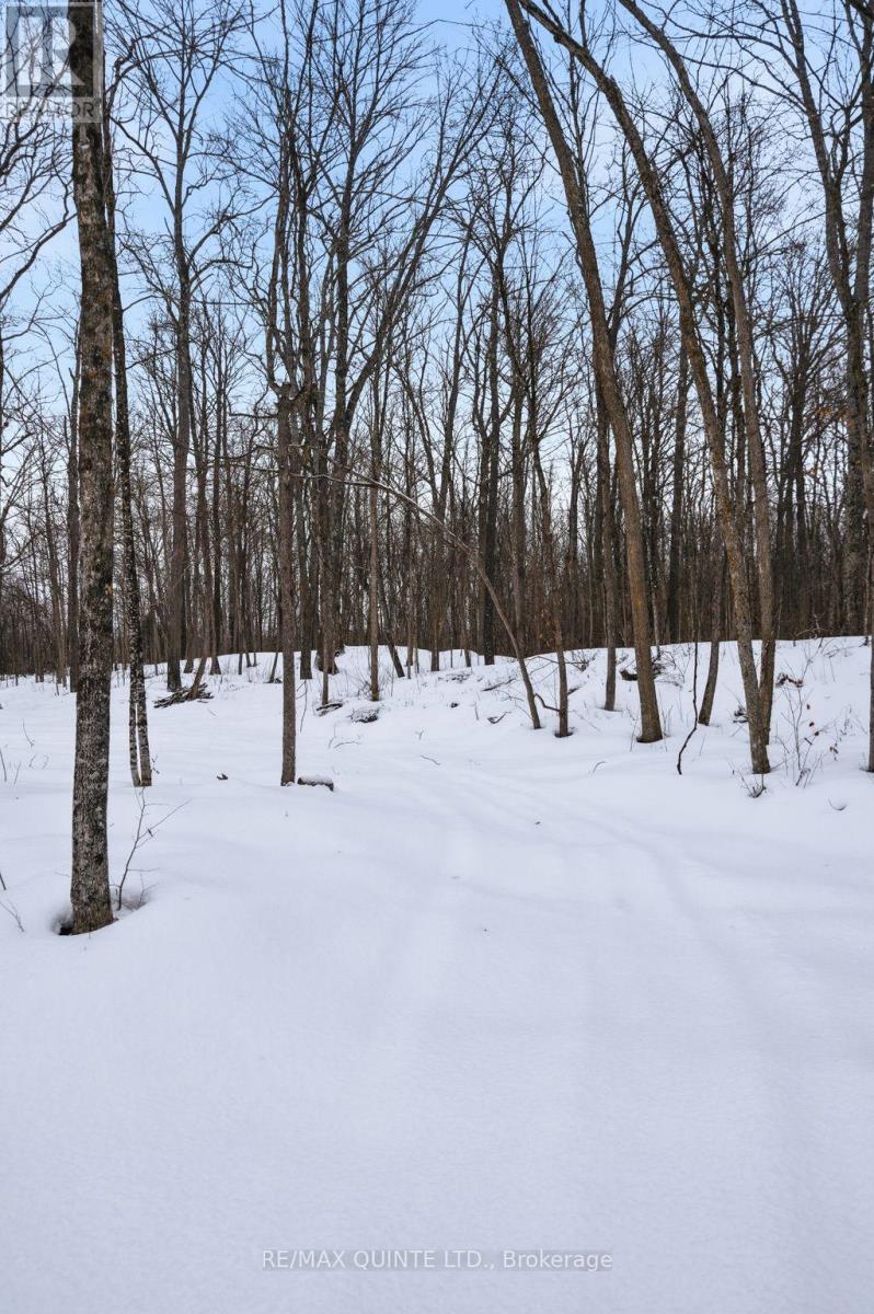 14184 Highway 62, Madoc, Ontario  K0K 2K0 - Photo 31 - X12698760