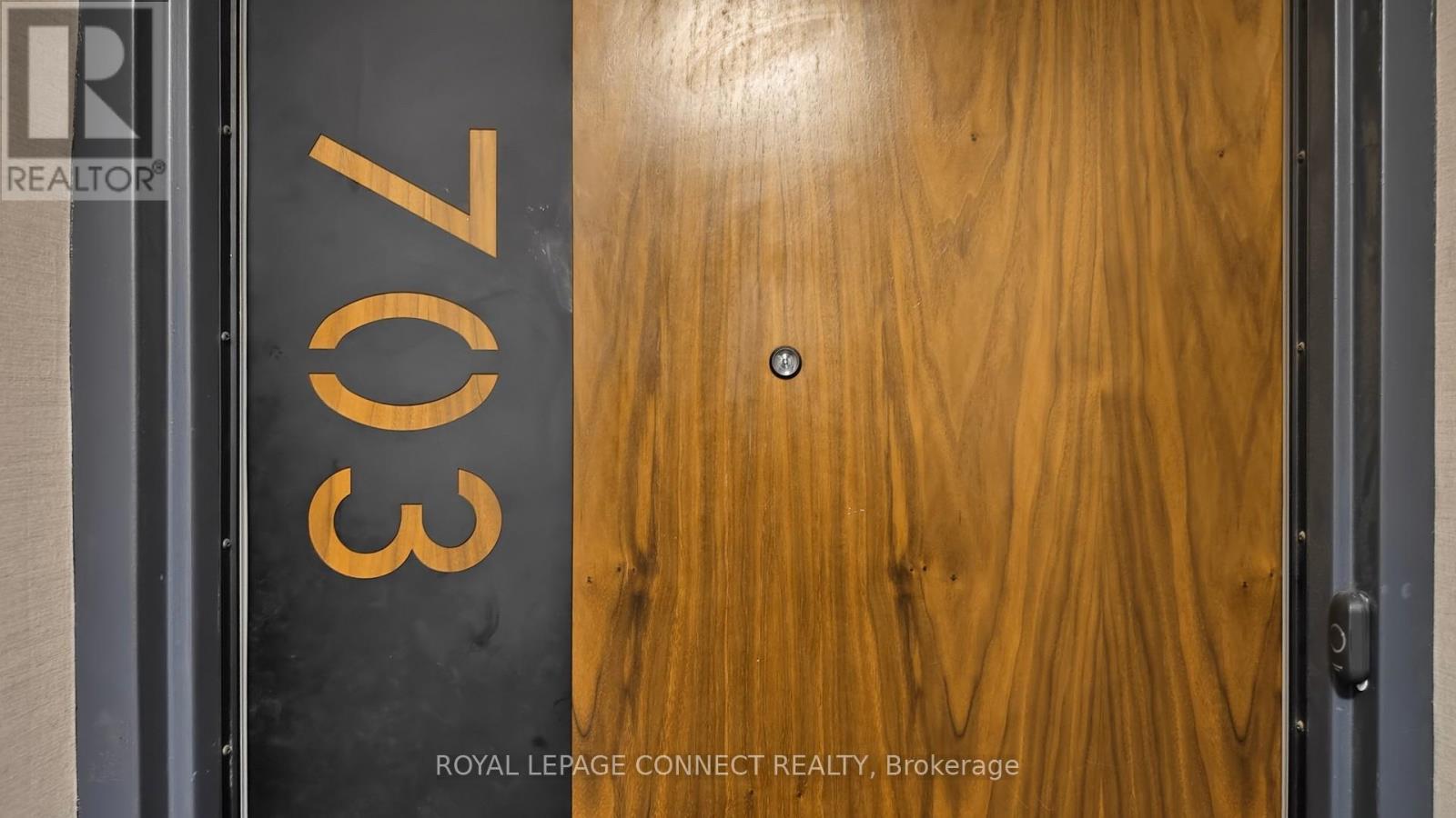 703 - 1145 Logan Avenue, Toronto, Ontario  M4K 3G9 - Photo 4 - E12698808