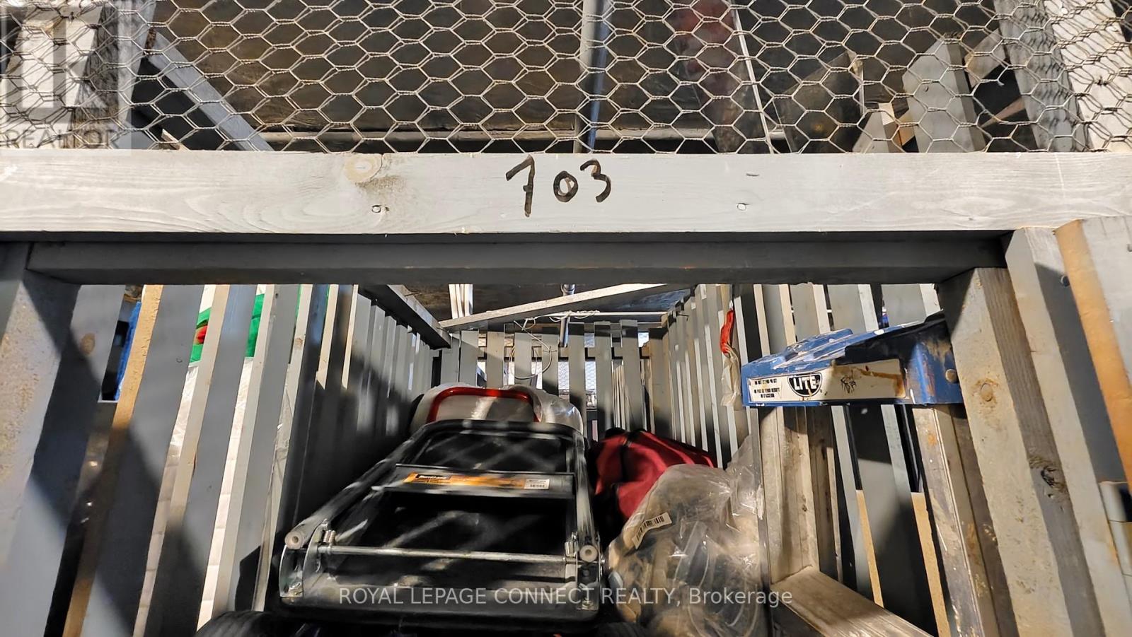 703 - 1145 Logan Avenue, Toronto, Ontario  M4K 3G9 - Photo 43 - E12698808