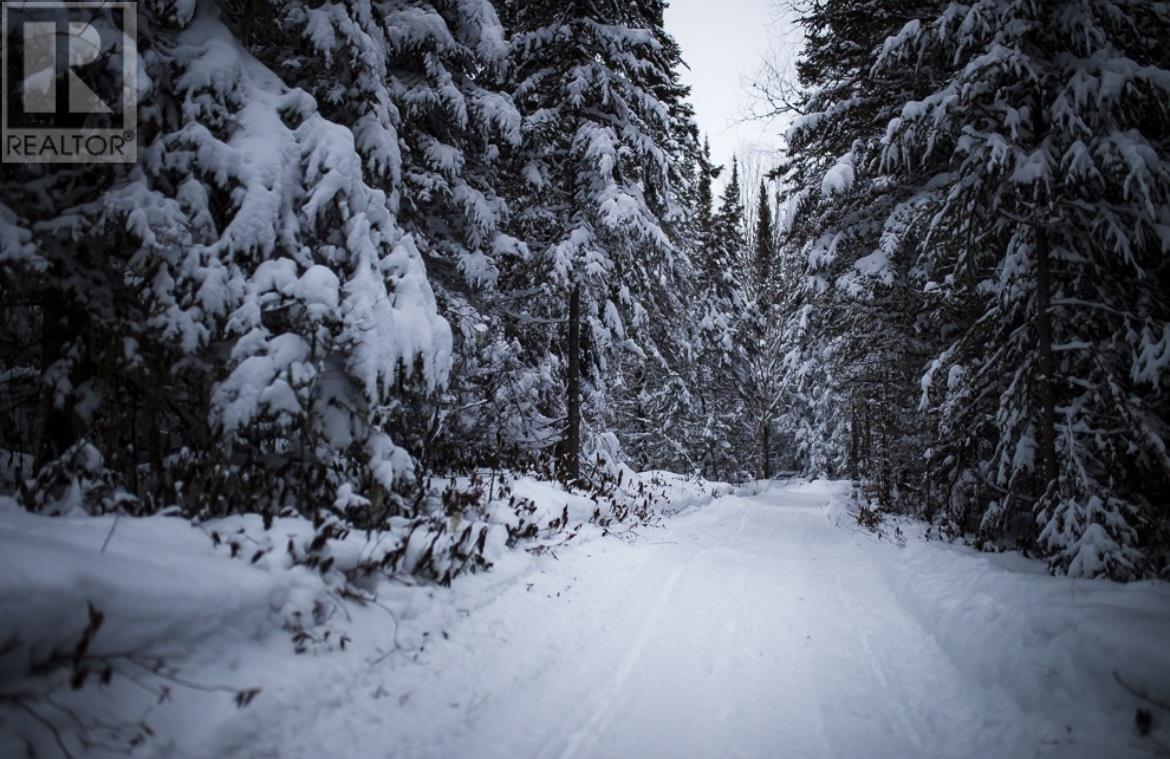 10 Eastgrove Ct, Terrace Bay, Ontario  P0T 2W0 - Photo 36 - TB2600075