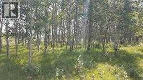 W-5.r-5,t-26,s-13,q-Sw And W-5,r-5,t-26, S-13, Q-S, Rural Rocky View County, Alberta  T0L 1N0 - Photo 24 - A2278938