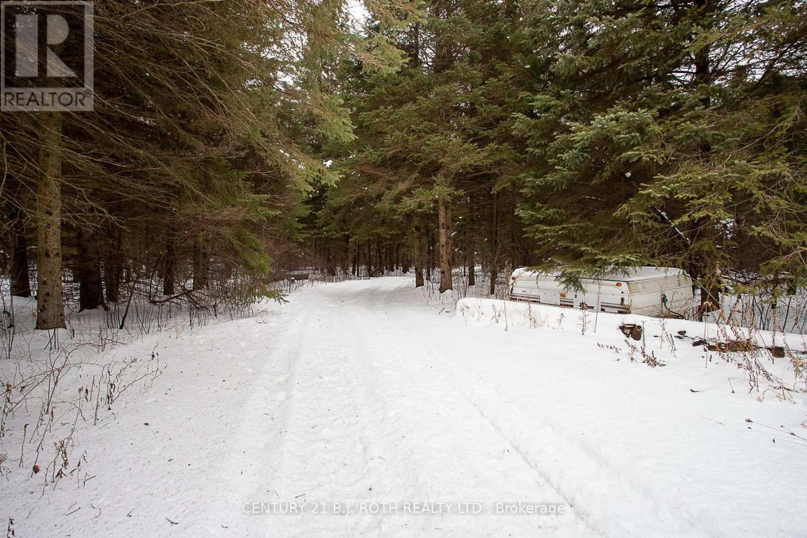 471 Scarlett Line, Oro-Medonte, Ontario  L0L 1V0 - Photo 27 - S12698936