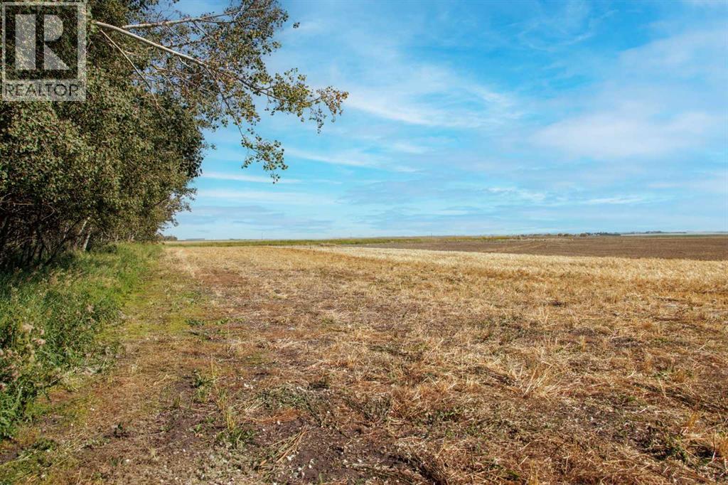 Rge Rd 292, Rural Rocky View County, Alberta  T0M 0S0 - Photo 9 - A2264806