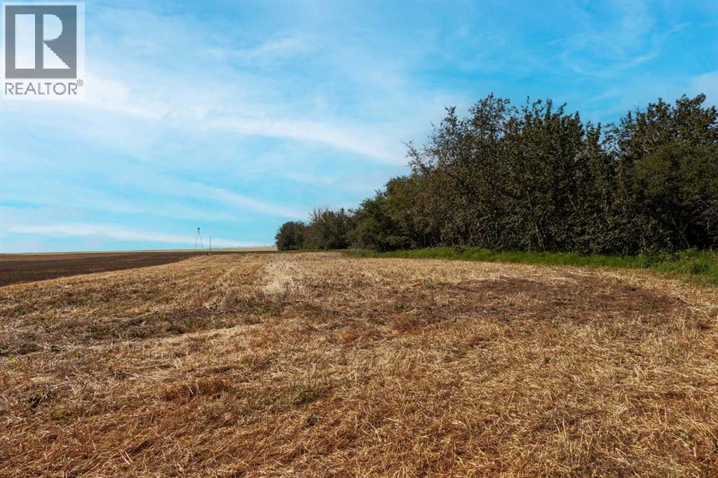 Rge Rd 292, Rural Rocky View County, Alberta  T0M 0S0 - Photo 4 - A2264806
