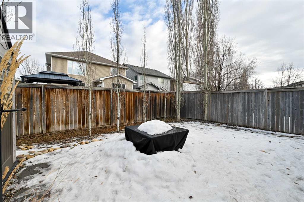 195 Chapalina Terrace Se, Calgary, Alberta  T2X 3X3 - Photo 42 - A2277812