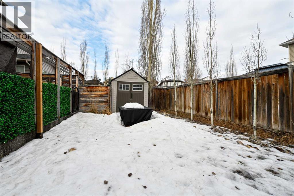 195 Chapalina Terrace Se, Calgary, Alberta  T2X 3X3 - Photo 43 - A2277812