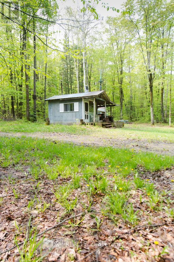 1040 Bill Mclaren Trail, Dysart Et Al, Ontario  K0L 1X0 - Photo 13 - X12699160