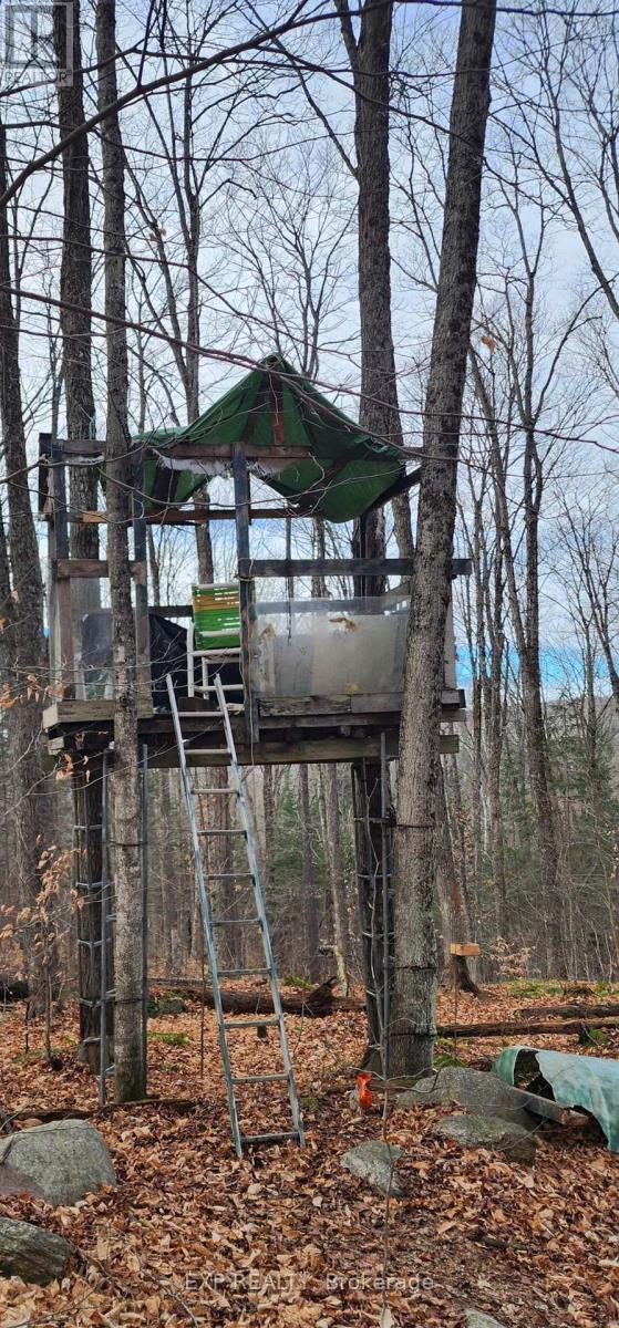 1040 Bill Mclaren Trail, Dysart Et Al, Ontario  K0L 1X0 - Photo 22 - X12699160