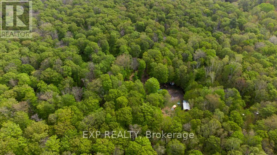 1040 Bill Mclaren Trail, Dysart Et Al, Ontario  K0L 1X0 - Photo 8 - X12699160