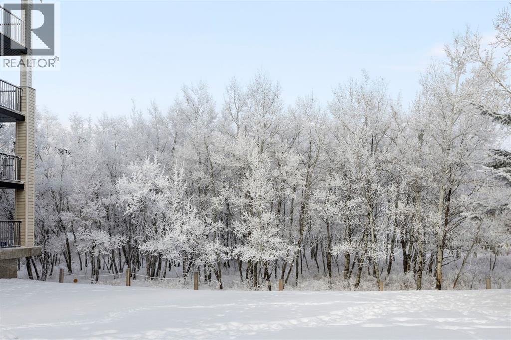 4216, 16969 24 Street Sw, Calgary, Alberta  T2Y 0J7 - Photo 20 - A2278362