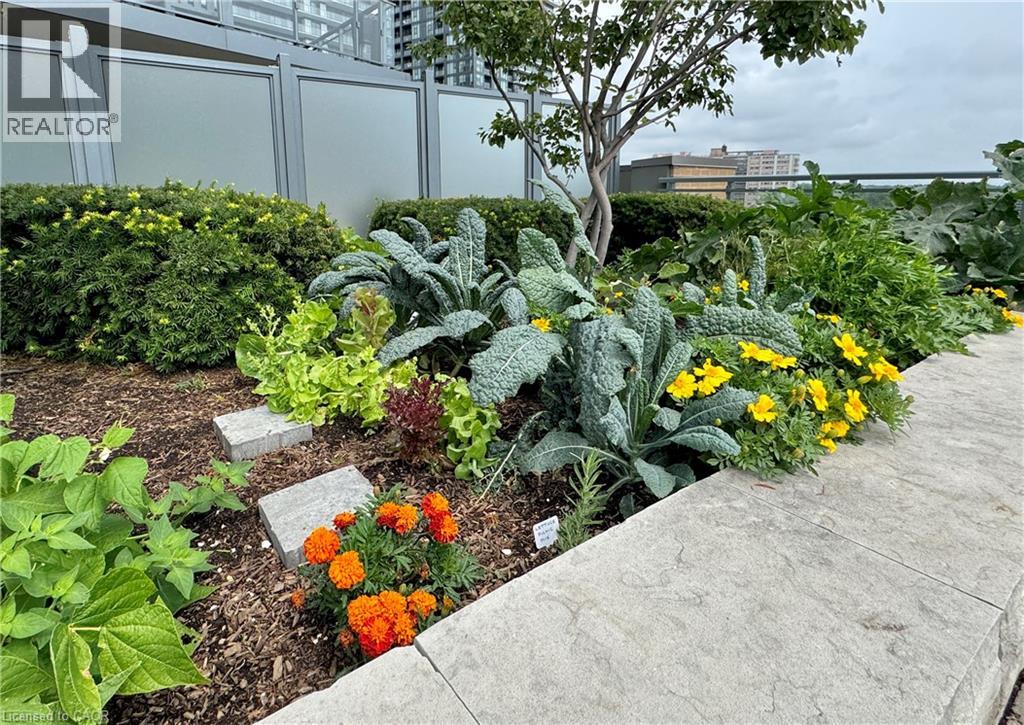 2060 Lakeshore Road Unit# 405, Burlington, Ontario  L7R 0G2 - Photo 30 - 40798318