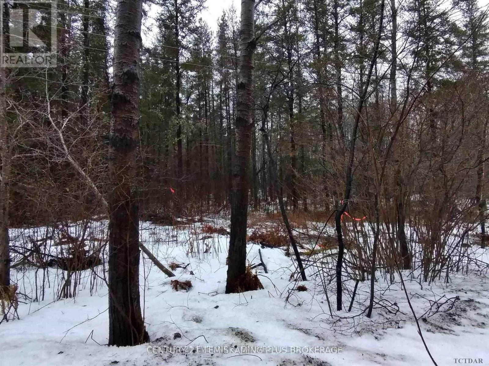 Part 12 Girl Guide Road, Cobalt, Ontario P0J 1C0 - Photo 3 - T12699058