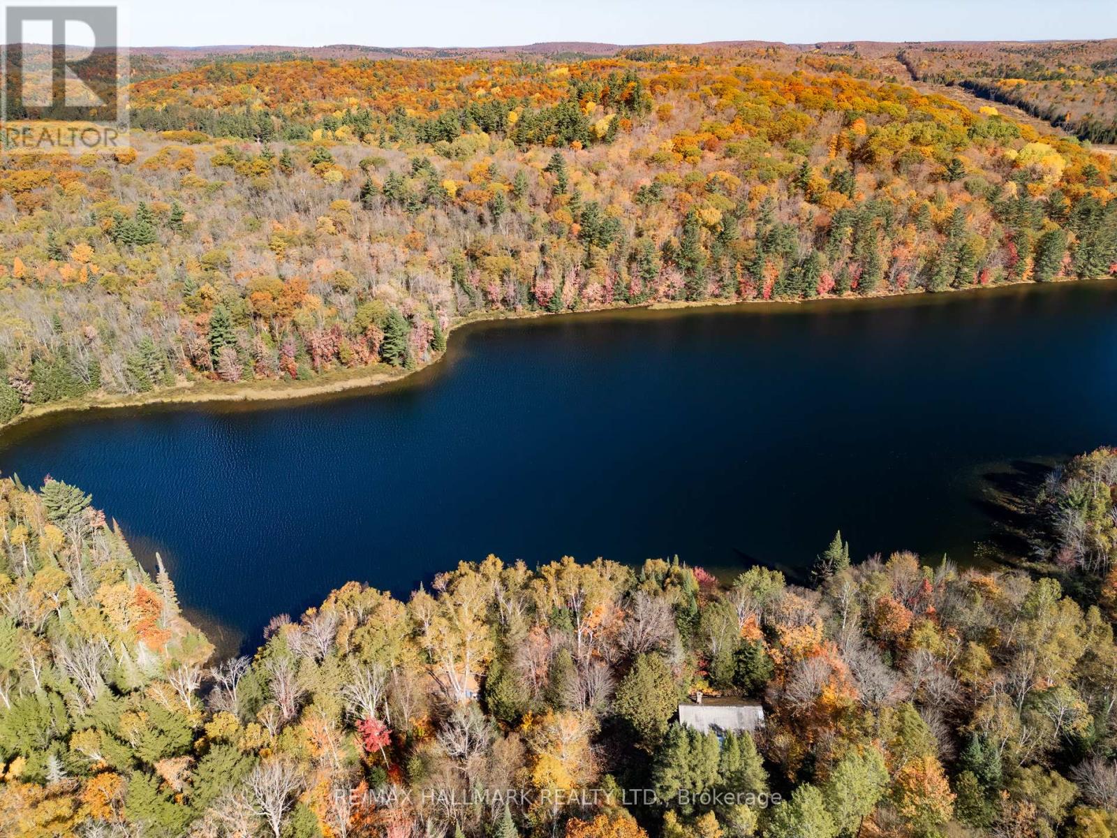 3517 Haliburton Lake Road, Dysart Et Al, Ontario  K0M 1S0 - Photo 11 - X12699170