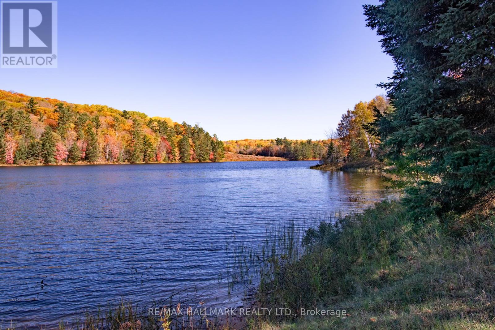 3517 Haliburton Lake Road, Dysart Et Al, Ontario  K0M 1S0 - Photo 30 - X12699170