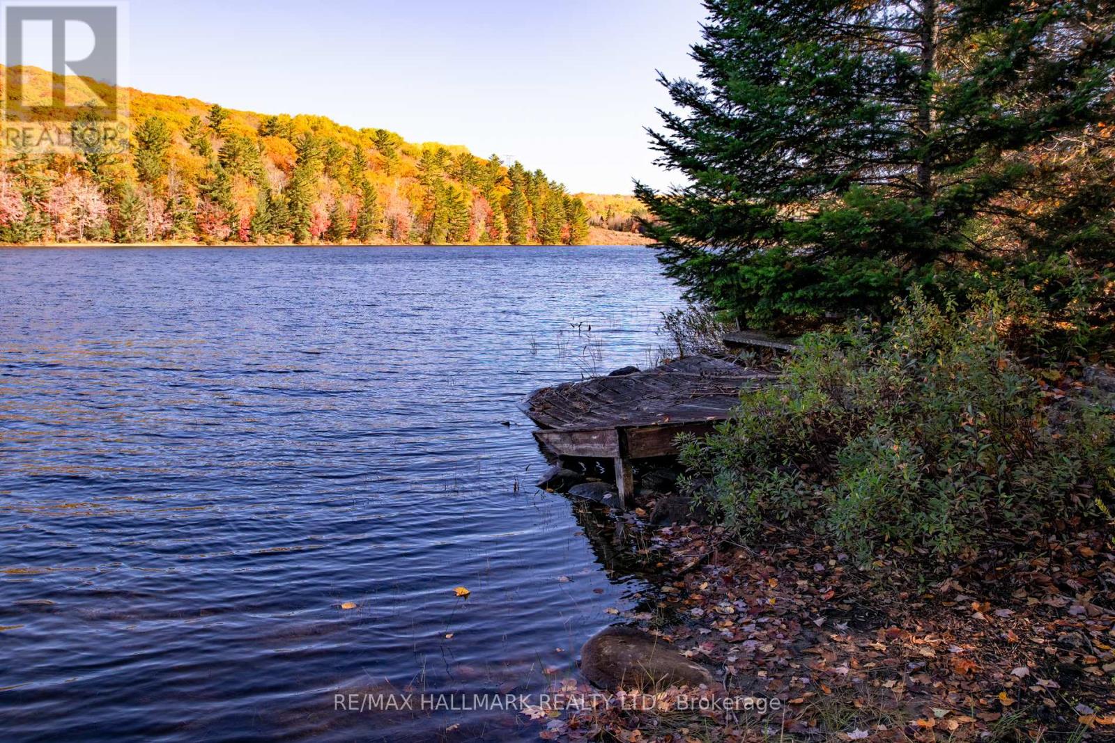 3517 Haliburton Lake Road, Dysart Et Al, Ontario  K0M 1S0 - Photo 4 - X12699170