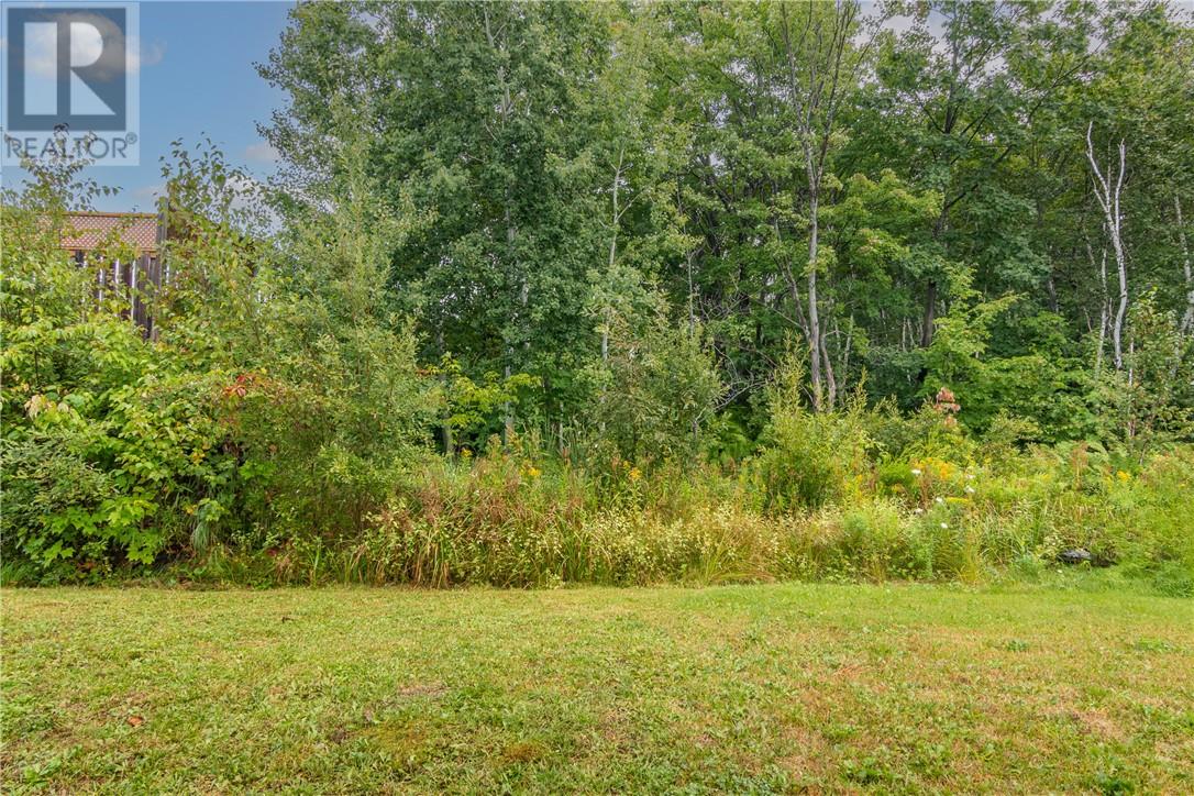 156 Eclipse Crescent, Greater Sudbury, Ontario  P3B 0E6 - Photo 37 - 2126069