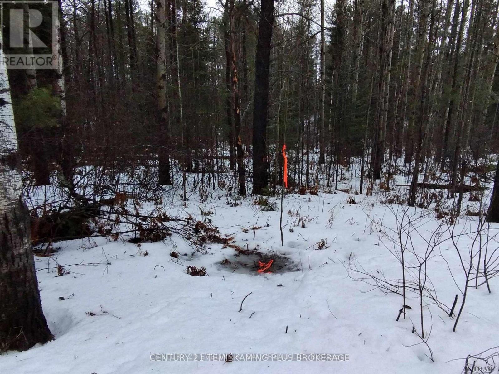 Part 13 Girl Guide Road, Cobalt, Ontario  P0C 1C0 - Photo 2 - T12699078