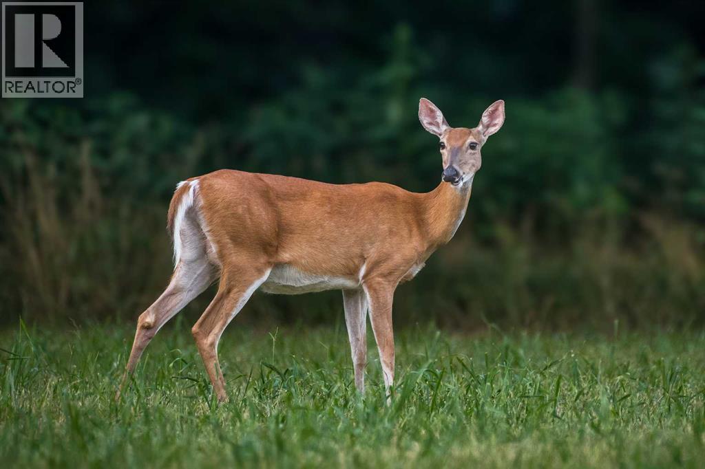9-43-18-W4, Rural Camrose County, Alberta  T0B 1H0 - Photo 12 - A2259461