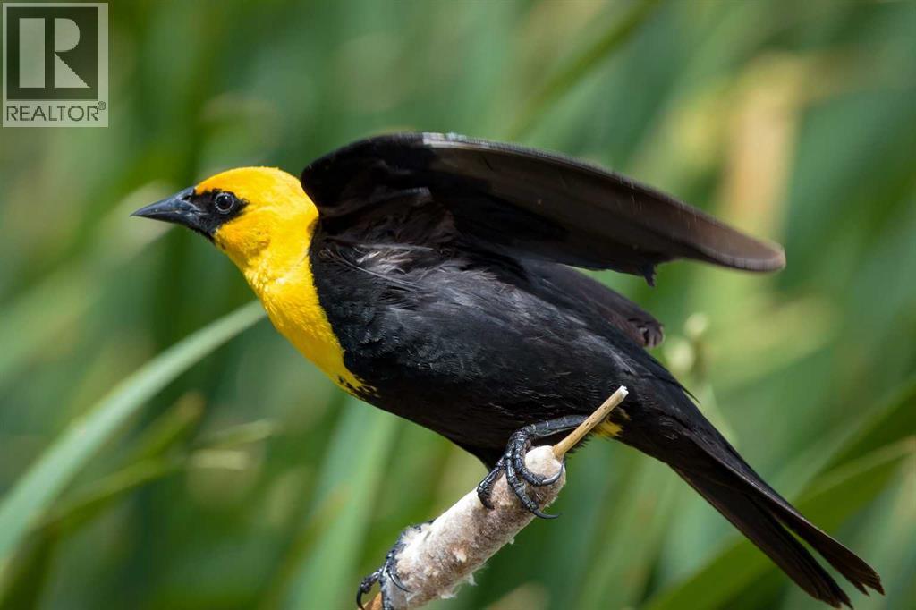 9-43-18-W4, Rural Camrose County, Alberta  T0B 1H0 - Photo 15 - A2259461
