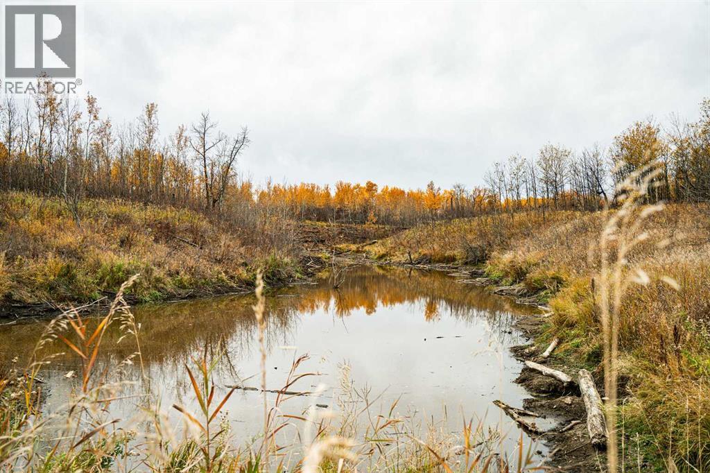 9-43-18-W4, Rural Camrose County, Alberta  T0B 1H0 - Photo 24 - A2259461