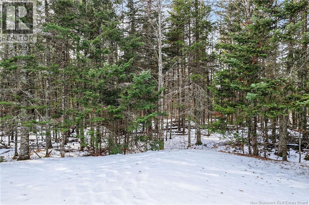 46860 Homestead Road, Steeves Mountain, New Brunswick  E1G 4P1 - Photo 11 - NB132221