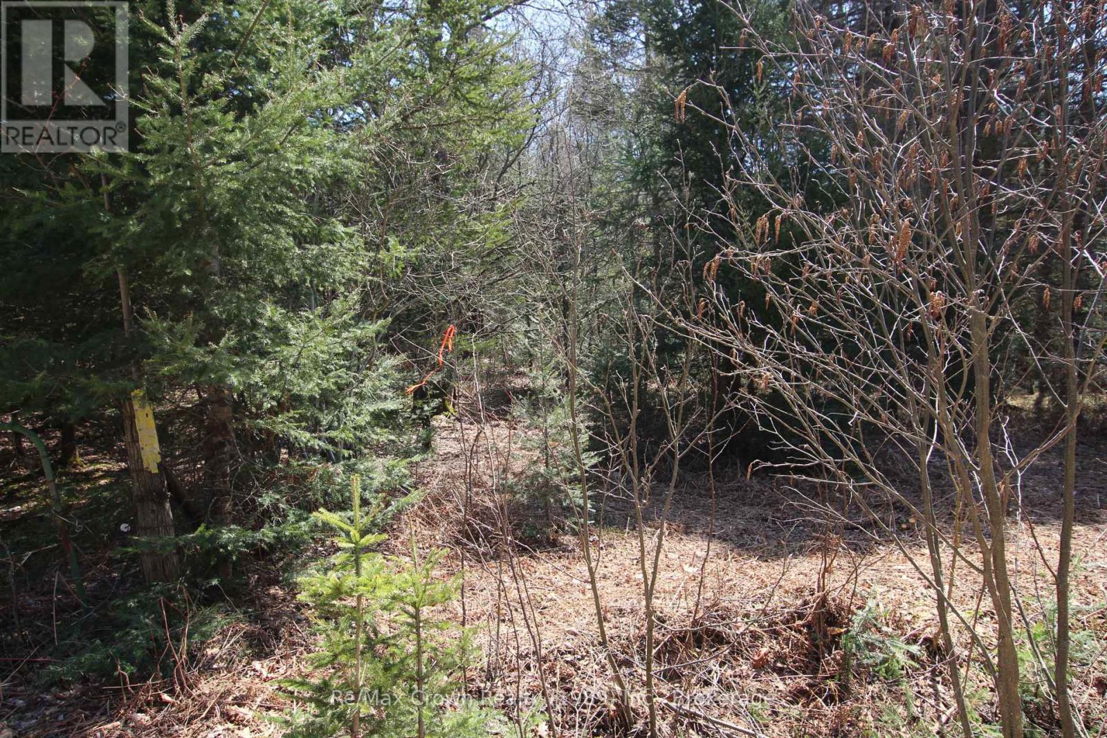 0 Barrett Road, Nipissing, Ontario  P0H 1J0 - Photo 2 - X12699658