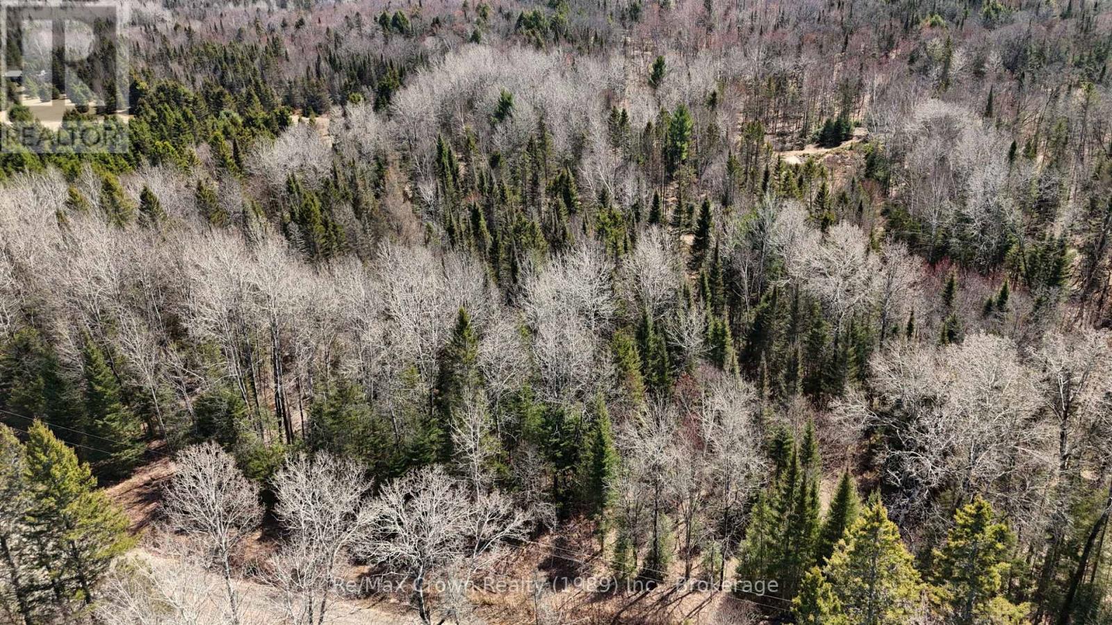 0 Barrett Road, Nipissing, Ontario  P0H 1J0 - Photo 6 - X12699658