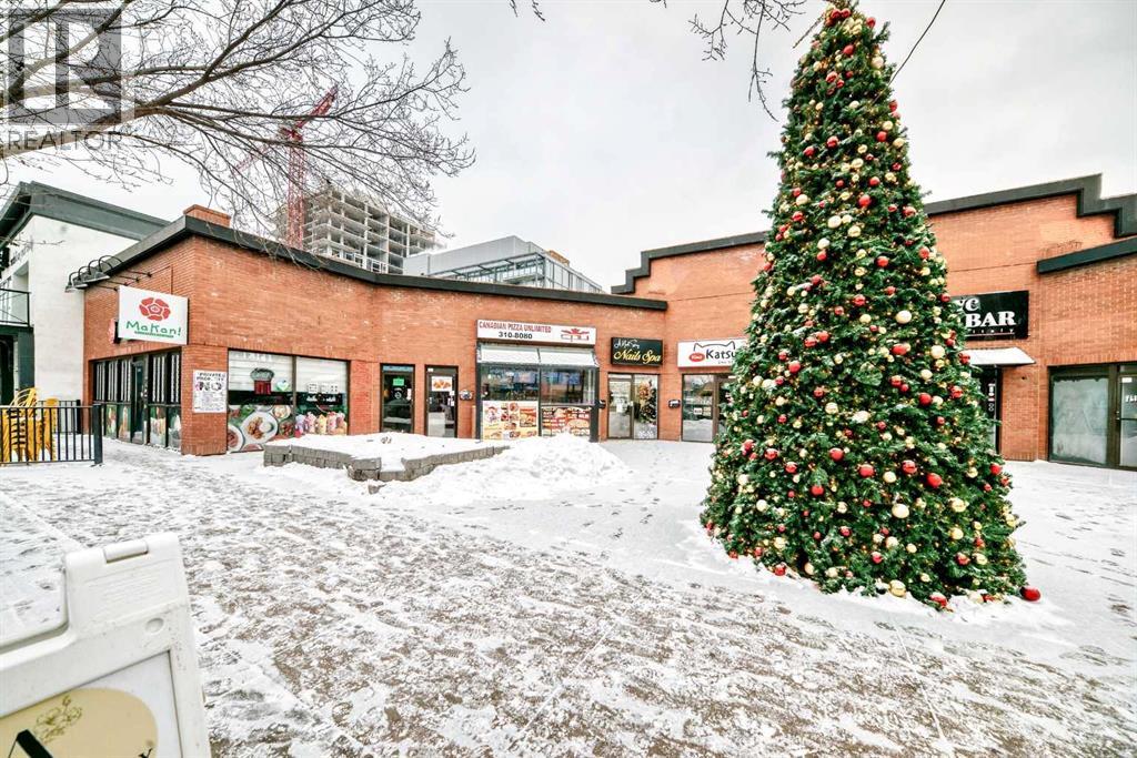 B, 314 10 Street Nw, Calgary, Alberta  T2N 1V8 - Photo 18 - A2275905