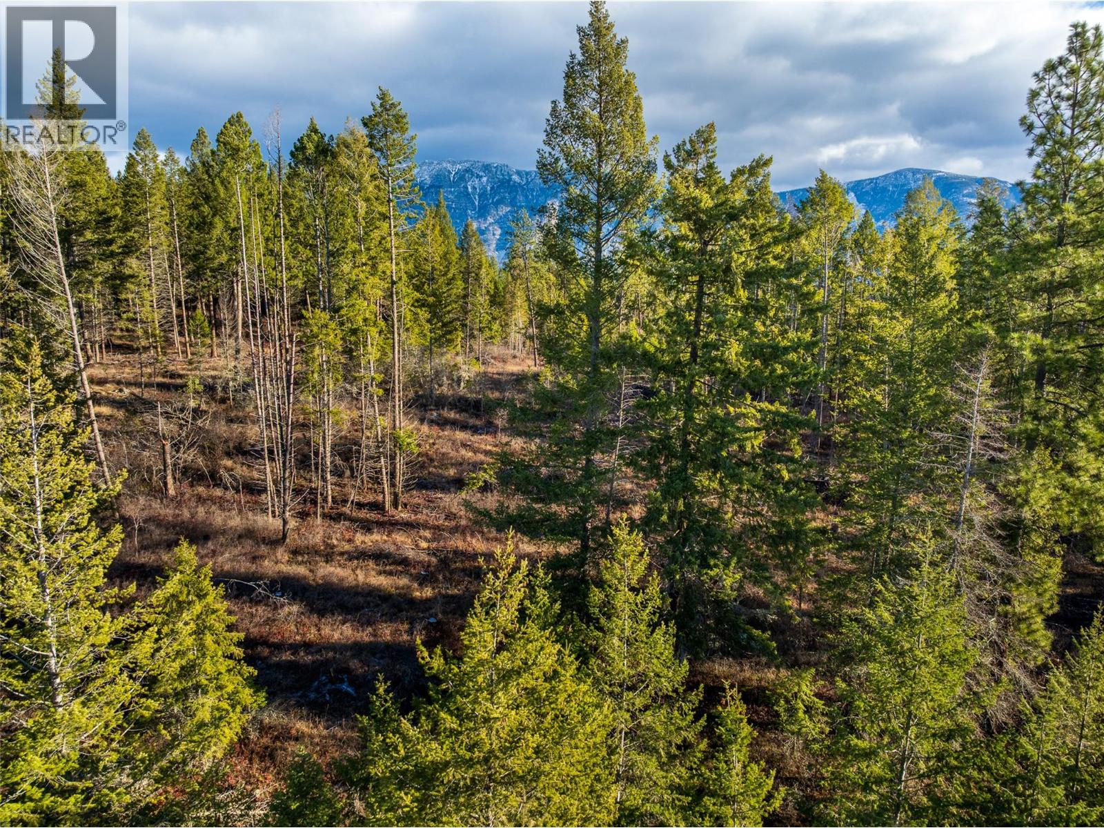Lot B Fox Tree Hill Road, Lister, British Columbia  V0B 1G2 - Photo 15 - 10372796