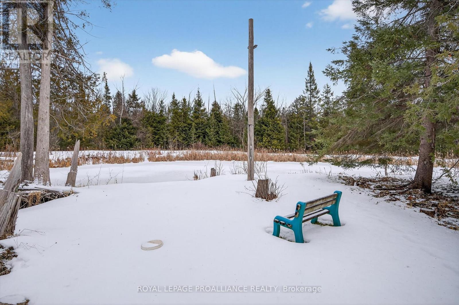 9 Leanne Avenue, Otonabee-South Monaghan, Ontario  K9J 6X8 - Photo 46 - X12700096