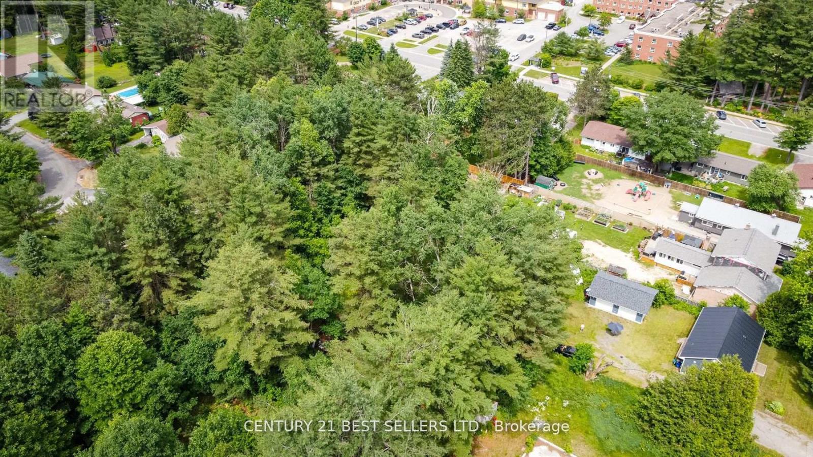 253 Maple Street, Bracebridge, Ontario  P1L 1K3 - Photo 10 - X12699802