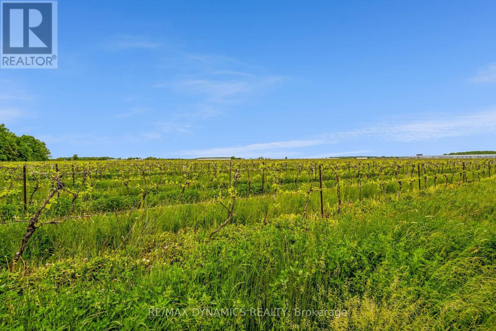 632 Concession 6 Road, Niagara-On-The-Lake, Ontario  L0S 1J0 - Photo 22 - X12700114