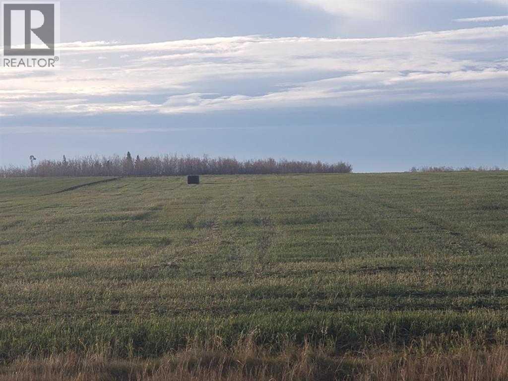 721072 Range Road 53, Rural Grande Prairie No. 1, Alberta  T8X 0N5 - Photo 4 - A2190497