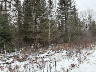 Lt 14 Part 2 Hazelwood Road, Papineau-Cameron, Ontario  P0H 1V0 - Photo 1 - X12557950