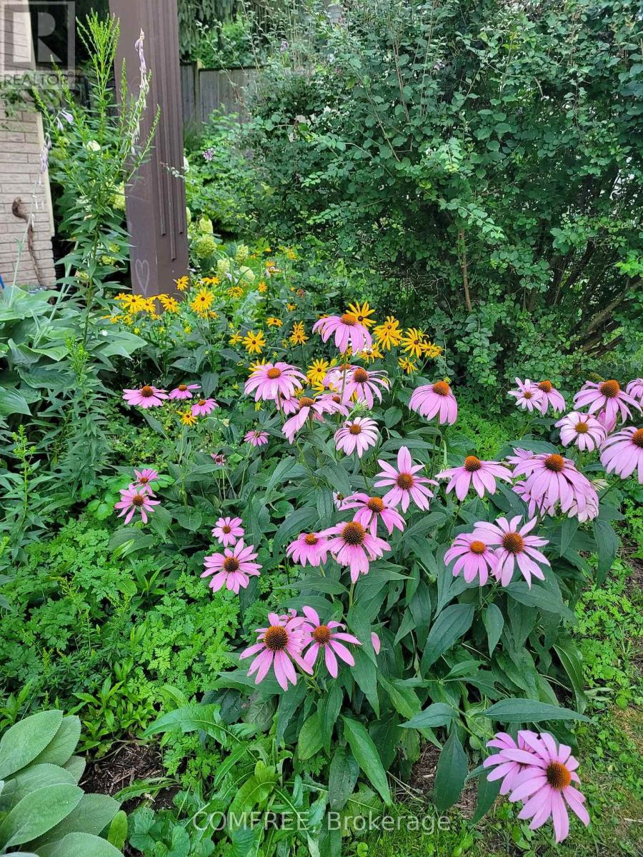 93 Water Street E, Centre Wellington, Ontario  N0B 1S0 - Photo 46 - X12578650